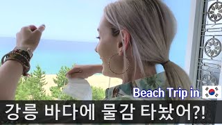 Peace of Heaven in Korea : Gyeong-po Beach 💖 [Eng Subs]