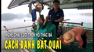 Đánh bắt cá trên hồ thủy điện Thác Bà. một buổi trải nghiệm đầy thú vị