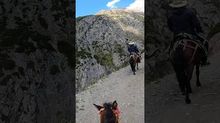 Amarnath #fakirariders  #solo #travellife #nature #mountains #shorts #short #shortvideo