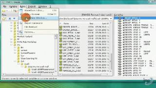 FAMOS Reader Tutorial 1: File Browser, Dynamic Loading, Waveform Editor, Report Generator