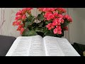 Căutarea Înțelepciunii, Proverbele Cp. 2 Sfânta Scriptura. Shalom.