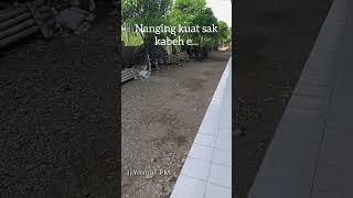 Story Wa 30 Detik Bahasa Jawa Terbaru  Di Hargai Bukan Profesi shorts
