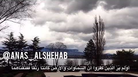 أجمل تلاوه طفل راح تسمعها القارئ انس سامي الشهاب