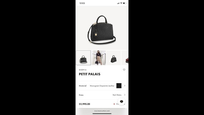 louis vuitton petit palais review｜TikTok Search