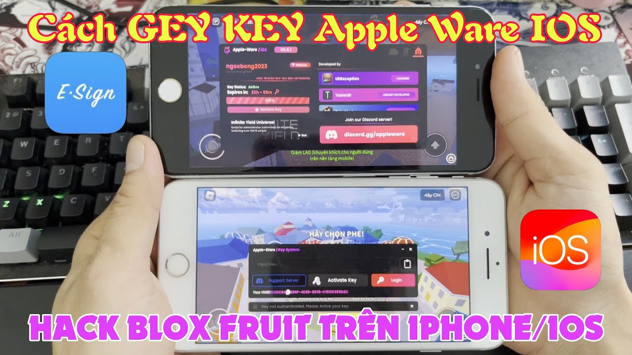 [ Chứng Chỉ Mới ] Cách GET KEY Apple Ware IOS Hack Blox Fruit Trên ...
