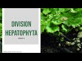 Bio102  division hepatophyta  group 5 bs bio block yd2