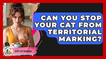 Can You Stop Your Cat From Territorial Marking? - Happy Cat Handbook