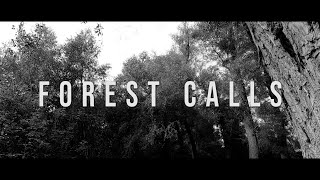 Viking Music - Forest Calls (Official Music Video)