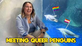 We Traveled 3000 Miles For LGBTQ+ Penguins