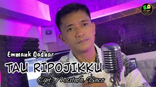 LaguBugistmTerbaru2026‼️TAU RIPOJIKKU Cipt Mustafa Baco l EMMANK Qadhar Arr: Andri Khan
