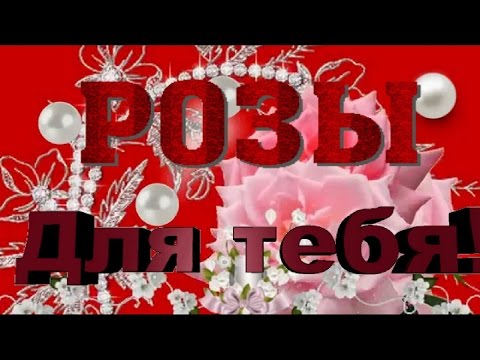 Пусть зима, пусть морозы, прими в подарок эти розы Красивые поздравления Музыкальная видео открытка