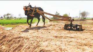 Bull Power Gear Toka Machine Working With Grass Cutting || Safdar Bhatti