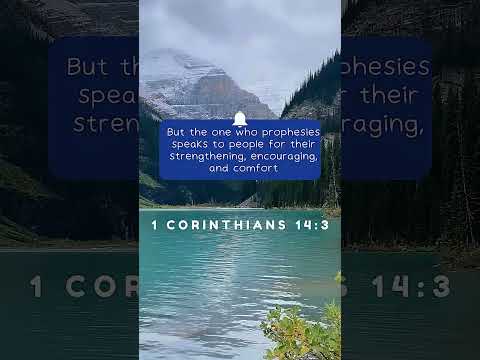 Understanding The Prophetic