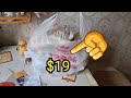 Маленькие покупки на $19 .Что купила ? Алматы Казахстан . Элла Австралия