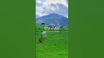 القرآن الكريم ، القارئ: ياسر الدوسري ، سورة : البقرة #القرآن_الكريم #quran #ياسر_الدوسري #ارح_قلبك