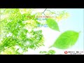 【公式】斎藤一人100回聞きシリーズ #020「道の話」