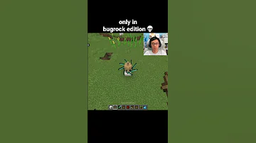 Minecraft Dancing Armor Stand Moment 
