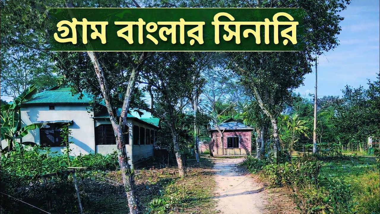 গ্রাম বাংলা সিনারি kamrujjaman midi