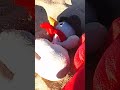 estamos en la playa parte4