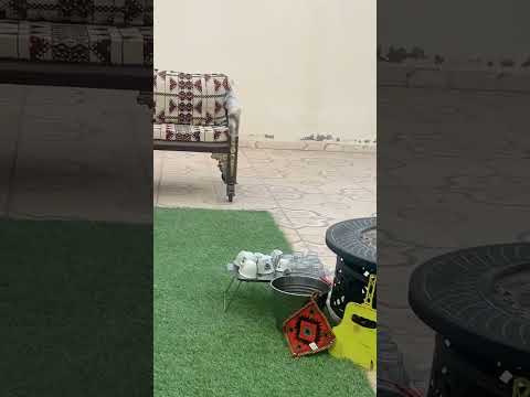 المجنب من الأوادم مايخلى
