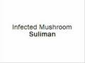 Infected Mushroom - Suliman