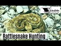 Catching Rattlesnakes | 1st Herping trip of 2020