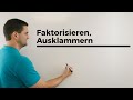 Faktorisieren & Binome | Mathe Coach von Daniel Jung