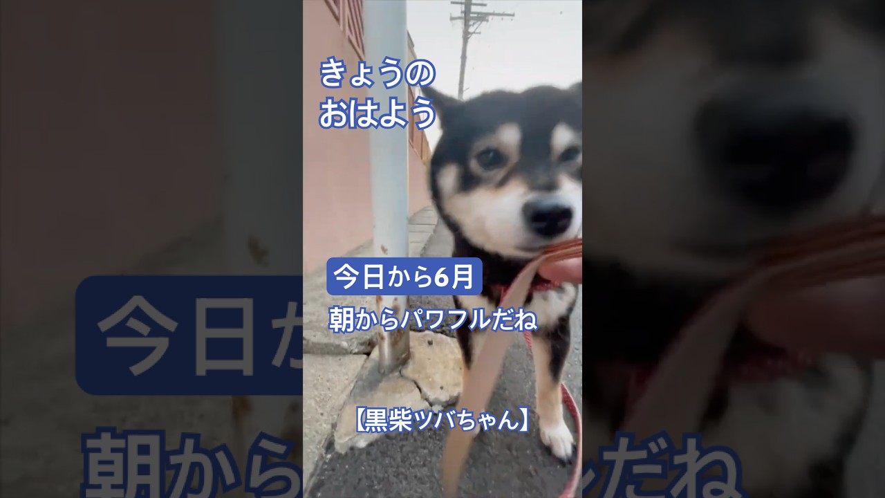 June starts today, and so does the energetic Tsuba-chan