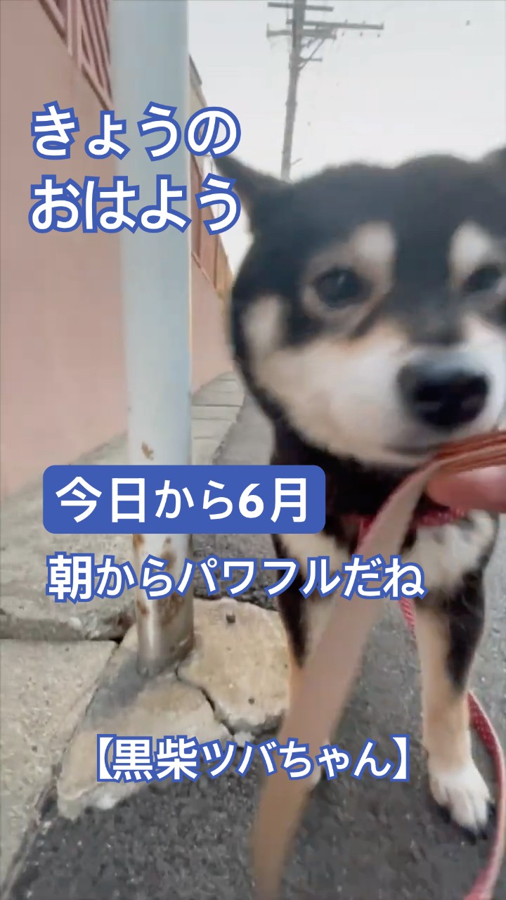 June starts today, and so does the energetic Tsuba-chan