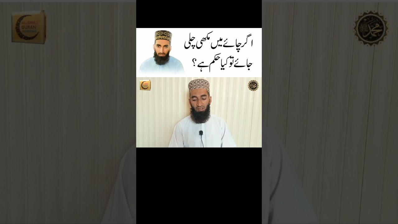 Agr Chai Main Makhi Chali Jaye To Kya Hukam Hai? #chai #makhi #islamicvideos #youtubeshorts #shorts