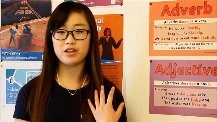 Linda from China on Life at Surval (in Chinese)