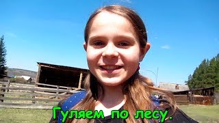 Прогулка с Темой и Ириской по лесу. (06.19г.) Веселая Анюта (Бровченко). Прогулка с Темой и Ириской по лесу. (06.19г.) Веселая Анюта (Бровченко).