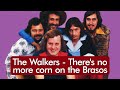 The walkers  theres no more corn on the brasos   msica com traduo
