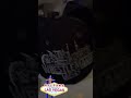 Wrestlemania 42 hat arrives yesterday