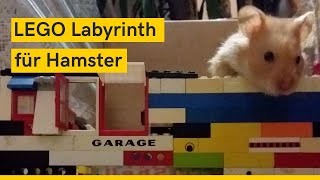 LEGO Labyrinth für Hamster