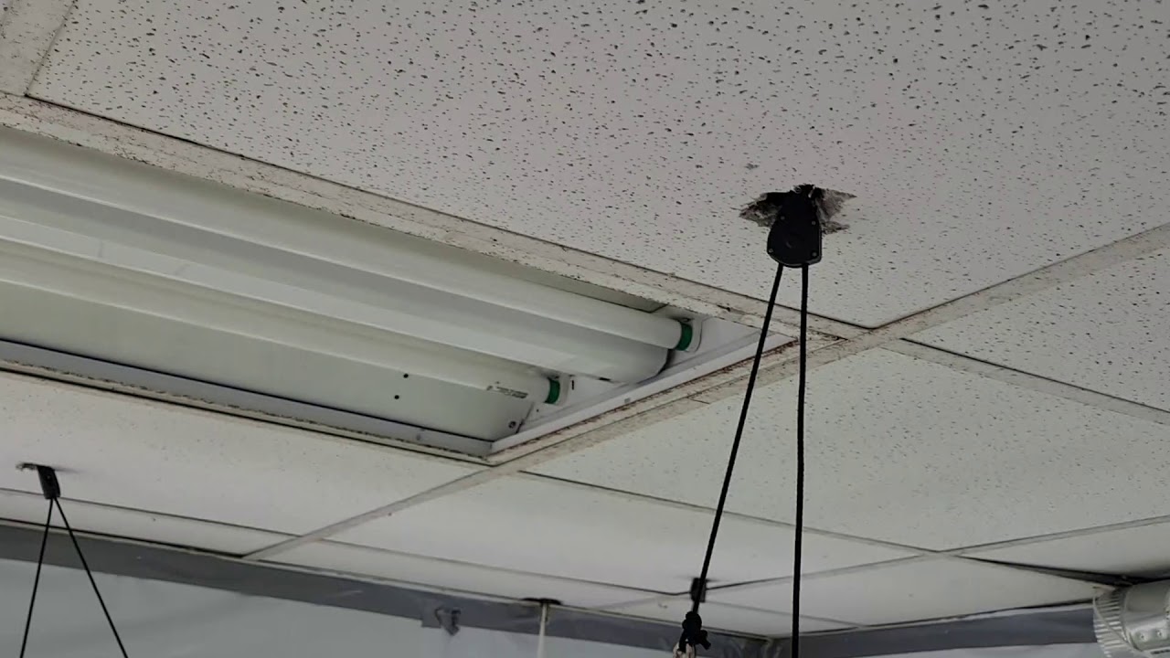 Today In The Growroom: S1 E5