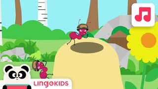 The Ants Go Marching 🐜🐜 | Simple Songs for Kids | Lingokids