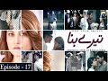 Watch Tere Bina Episode 17 | Neelum Muneer | Sami Khan Online In HD