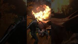 The Witcher 3 Wild Hunt Armored Arachas Fight