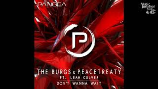 The Burgs, PeaceTreaty - Don't Wanna Wait (ft. Leah Culver)