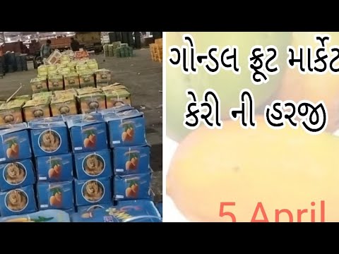 ગોન્ડલ ફ્રુટ માર્કેટ કેરી ની હરાજી  તારીખ:- ૫-૪-૨૦૨૩ #viral