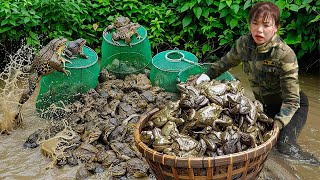 Download Lagu Harvest Melons \u0026 Catch 1000+kg of Giant Field Frogs \u0026 go to Market Sell - Crispy Fried Frog Cooking! MP3 Download Lagu Harvest Melons \u0026 Catch 1000+kg of Giant Field Frogs \u0026 go to Market Sell - Crispy Fried Frog Cooking! MP3