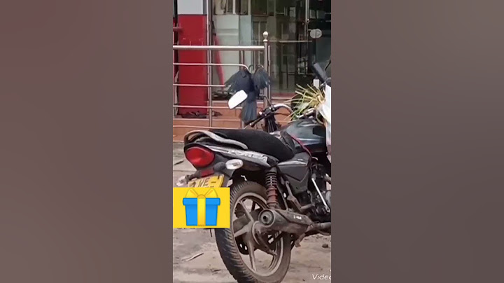 ගෙදර යන ගමන්