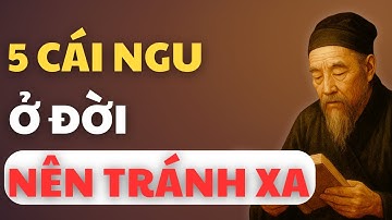 Cổ nhân dạy: 5 Cái Ngu Ở Đời Nên Tránh Càng Xa Càng Tốt | Tinh Hoa Đạo Lý