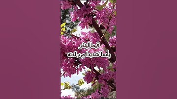 من قرأ سورة الكهف يوم الجمعة أضاء له من النور ما بين الجمعتين.