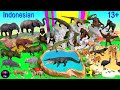 Indonesian Animals - Komodo, Elephant, Tiger, Rhino, Orangutan, Leopard, Babirusa, Monkey 13+