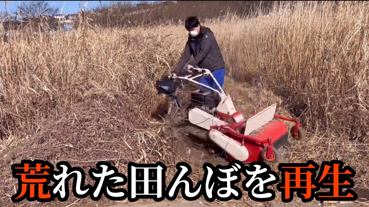 【田んぼ再生】２０年間放置された田んぼを蘇らせる