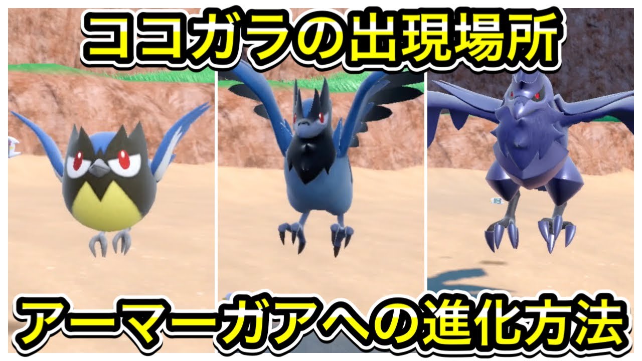 ポケモンSV】ココガラの出現場所！アオガラス、アーマーガアへの進化
