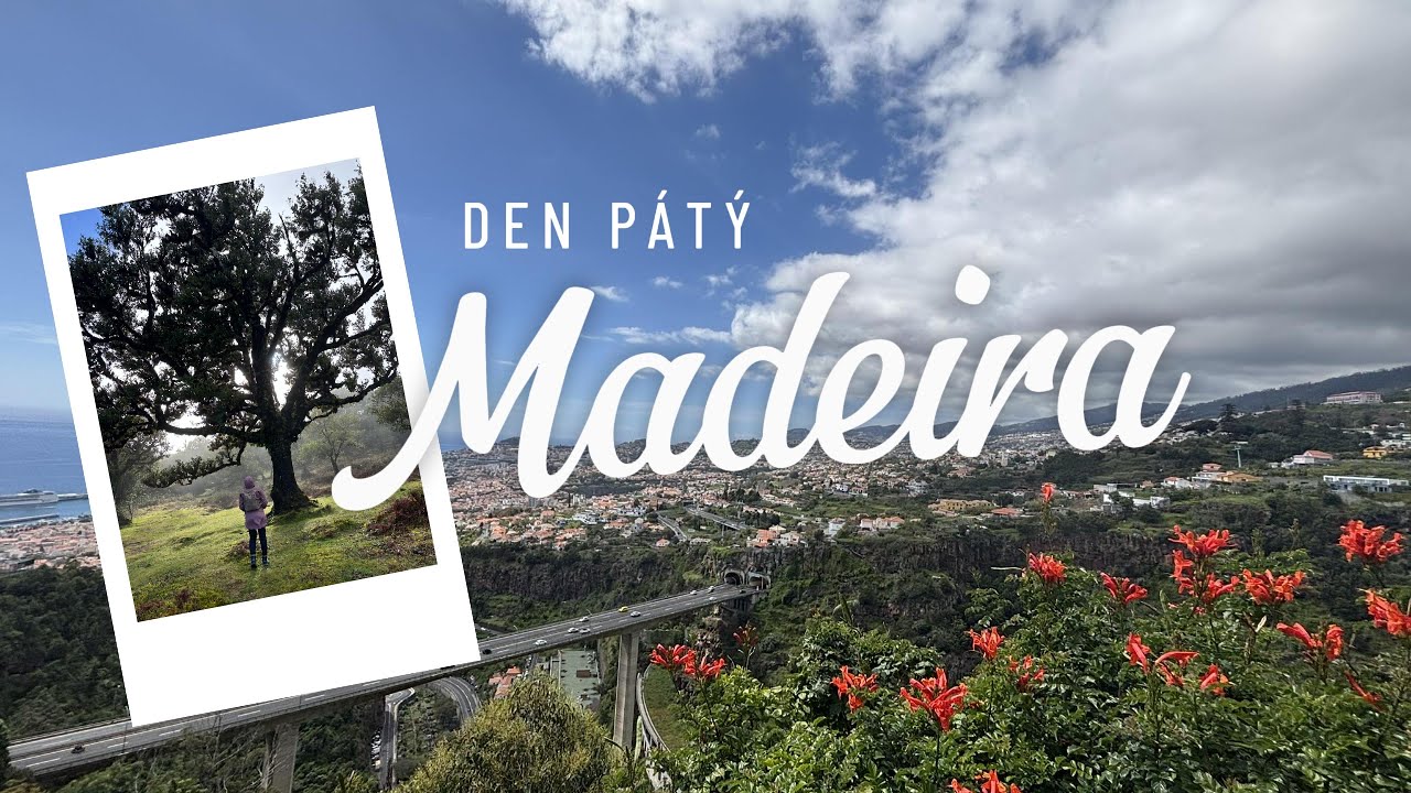 MADEIRA 🍌 kouzelný les Fanal a nejvyšší bod ostrova | CESTOVATELSKÝ VLOG