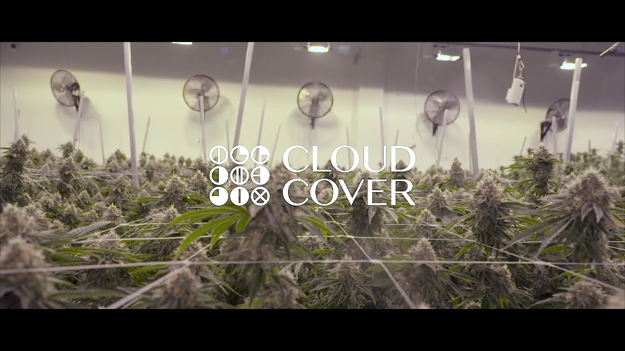 Tour Cloud Cover Cannabis In Portland Oregon On The West Coast Weed Tour